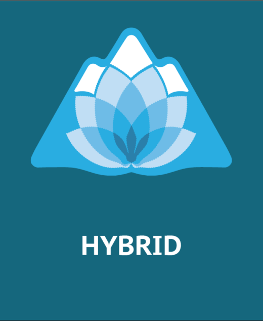 Hybrid